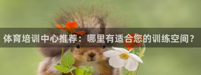 尊龙 国外