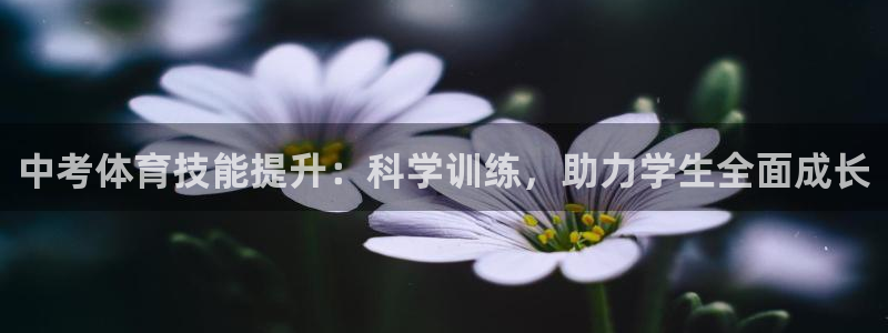 尊龙凯时发展历程