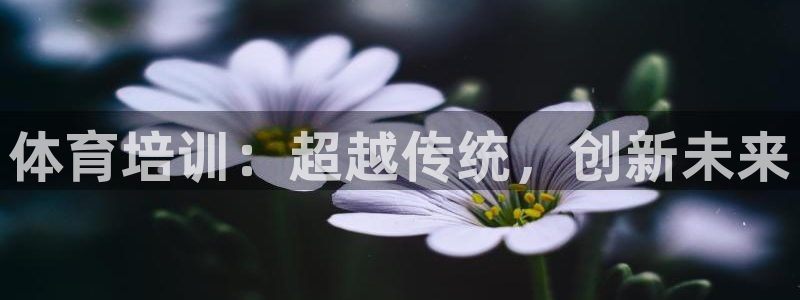 尊龙凯时捕鱼游戏能玩吗