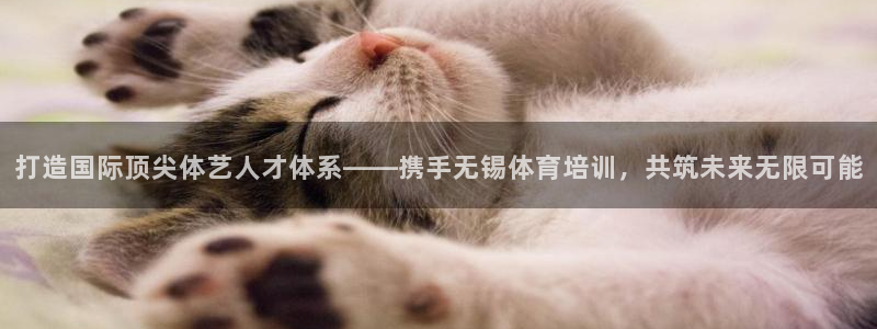 尊龙凯时福米推荐人