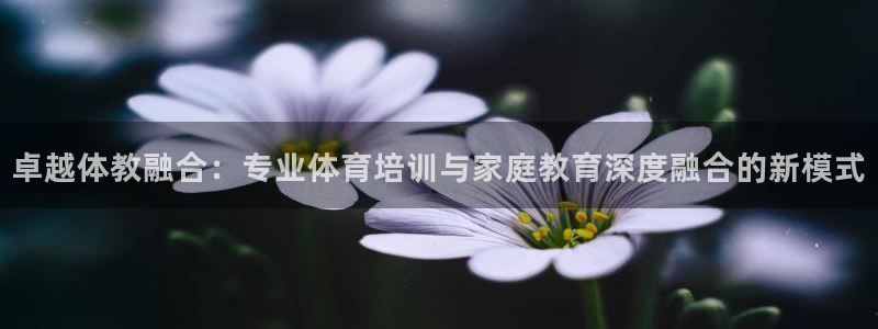 尊龙集团有限公司是国企吗