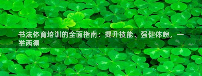 尊龙人生就是博电脑版：书法体育培训的全面指南：提升技能、强健