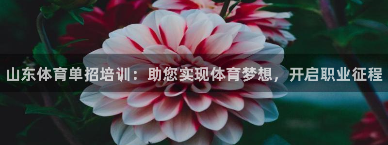 尊龙官方APP下载：山东体育单招培训：助您实现体育梦想，开启