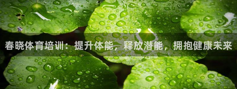 尊龙人生就是博一下下：春晓体育培训：提升体能，释放潜