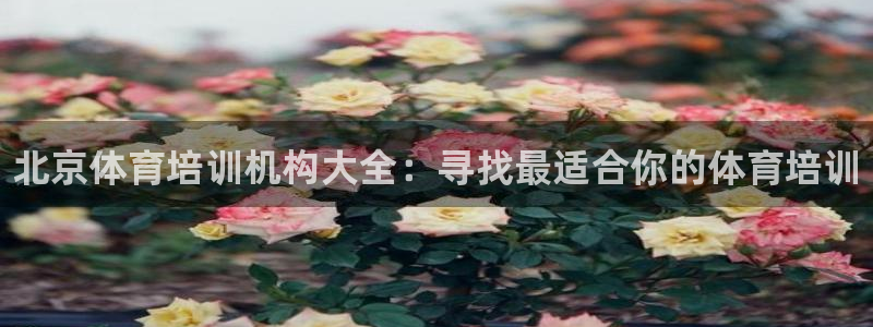 尊龙官网地址：北京体育培训机构大全：寻找最适合你的体育培训