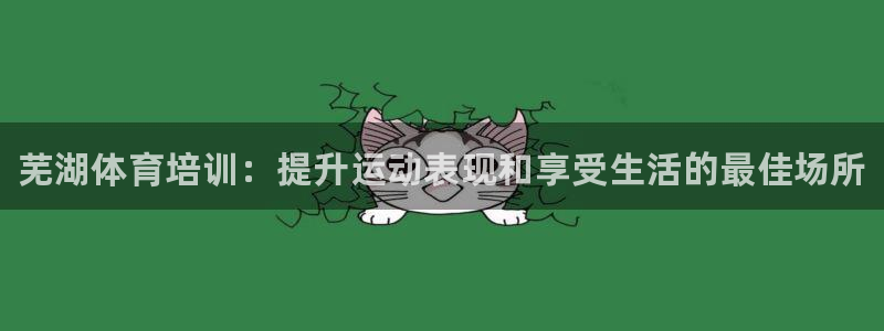 尊龙人生就是博旧：芜湖体育培训：提升运动表现和享受生