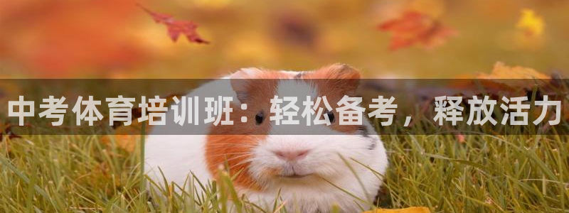 尊龙d88官网QU来就送38：中考体育培训班：轻松备