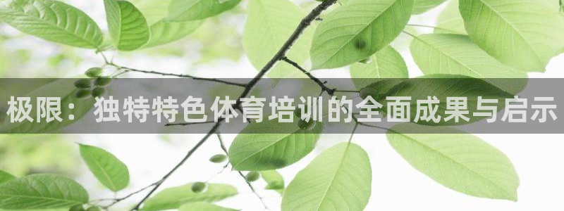 尊龙凯时代理：极限：独特特色体育培训的全面成果与启示