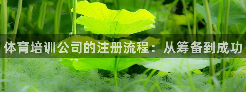尊龙凯时一人生就是博官网：体育培训公司的注册流程：从