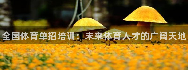 尊龙休闲e站怎么样：全国体育单招培训：未来体育人才的广阔天地