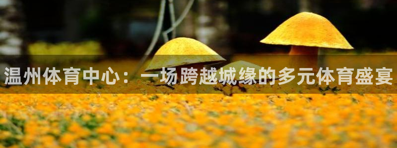 Ag尊龙平台：温州体育中心：一场跨越城缘的多元体育盛宴